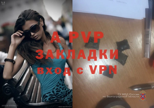 дмт Ладушкин