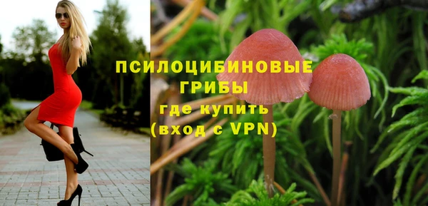твердый Покров