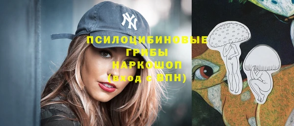 гидра Лабытнанги