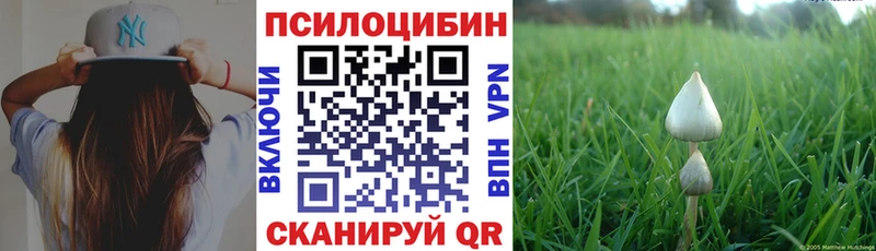 дарнет шоп Лангепас Галлюциногенные грибы прущие грибы